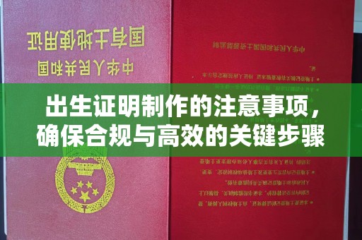 绥阳出生证明制作的注意事项，确保合规与高效的关键步骤