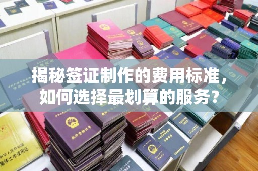 绥阳揭秘签证制作的费用标准，如何选择最划算的服务？