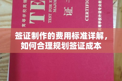 绥阳签证制作的费用标准详解，如何合理规划签证成本